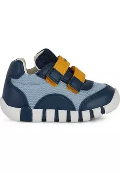 Обувь First IUPIDOO UNISEX Geox, цвет light sky navy