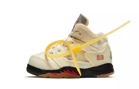 Обувь Jordan Air Jordan 5 для малышей TD