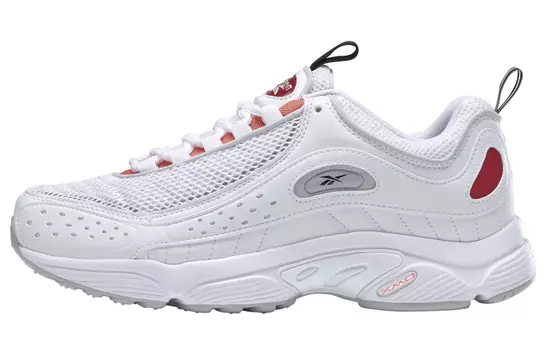 Обувь Reebok Daytona DMX Lifestyle унисекс