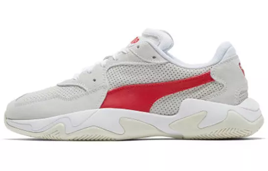 Обувь унисекс Puma Storm Daddy