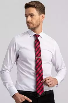 Обычная мужская рубашка узкого кроя Slim Fit TUDORS