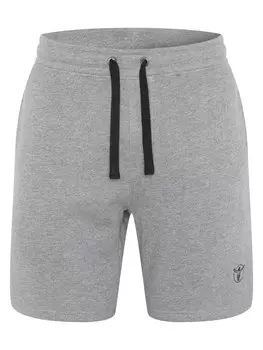 Обычные брюки Chiemsee, пестрый серый