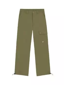 Обычные брюки DICKIES Jackson, зеленый