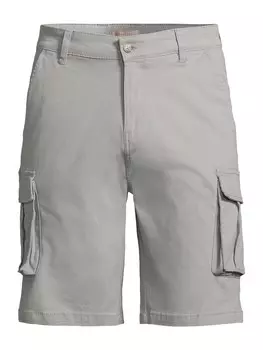 Обычные брюки-карго Aropostale, серый