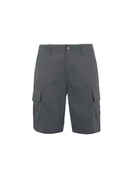 Обычные брюки- карго DICKIES, серый