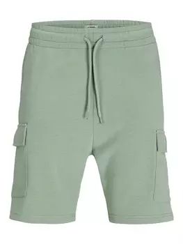 Обычные брюки- карго JJ Rebel JREBGORM, пастельный зеленый