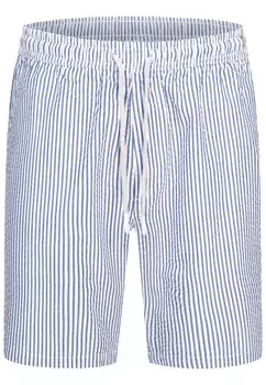 Обычные брюки Kronstadt Arlin, синий