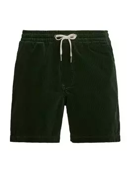 Обычные брюки Polo Ralph Lauren, темно-зеленый