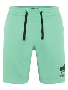 Обычные брюки Polo Sylt, зеленый