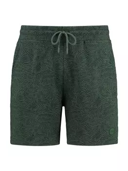 Обычные брюки Shiwi, зеленый