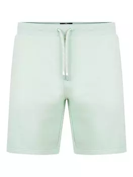 Обычные брюки Threadbare Bergamot, мятный