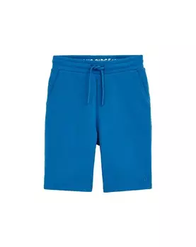 Обычные брюки WE Fashion, синий