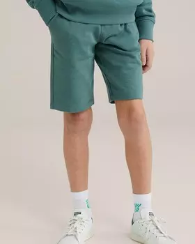 Обычные брюки WE Fashion, зеленый