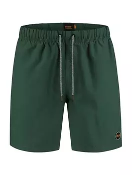 Обычные шорты для доски Shiwi Mike, оливковое