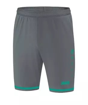 Обычные спортивные штаны JAKO Striker 2.0, серый