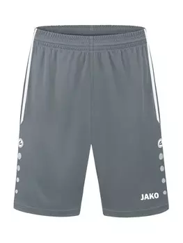 Обычные тренировочные брюки JAKO, серый