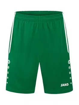 Обычные тренировочные брюки Jako, зеленый