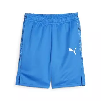 Обычные тренировочные брюки Puma, синий