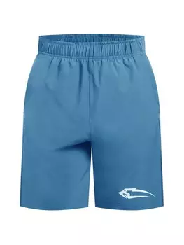 Обычные тренировочные брюки Smilodox Powerfit Triple, синий