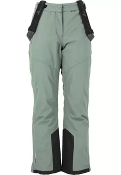 Обычные тренировочные брюки Whistler Drizzle, серый