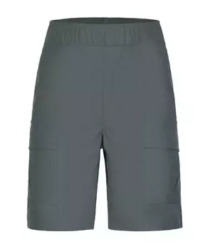 Обычные уличные брюки ICEPEAK Loretto, цвет Fir