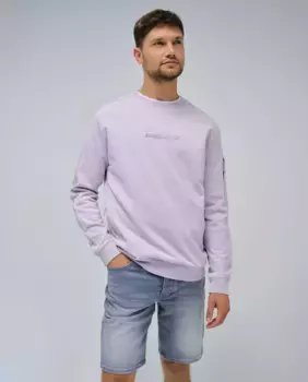 Обычный мужской свитшот с логотипом Salsa Jeans, цвет Lila