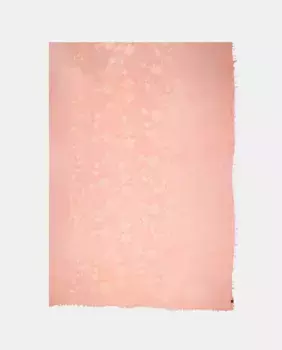 Обычный шарф Fraas, цвет Maquillaje