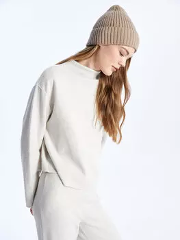 Обычный женский трикотажный свитер с длинным рукавом и полуводолазкой LCW Casual, бежевый меланж