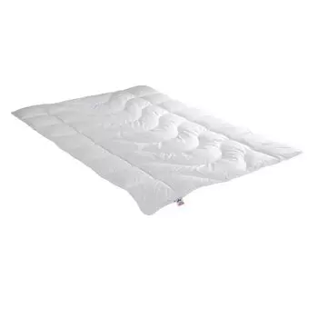 Одеяло 4-сезонное Ирисетт Лара размер 200х200см Badenia irisette