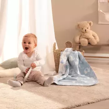 Одеяло Biederlack