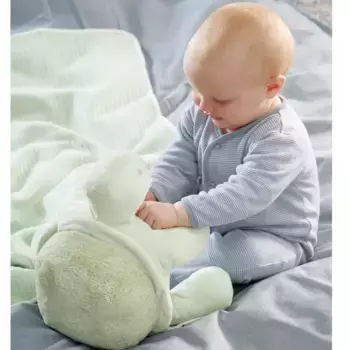 Одеяло Biederlack, зеленый