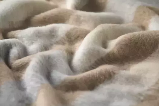 Одеяло David Fussenegger