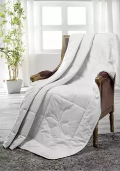 Одеяло Dreams из натурального волокна "Классик", легкое, наполнитель 100% шелк, чехол 100% хлопок, (1 шт.), хорошо переносит влагу, идеально подходит для теплого времени года 200х200 см, цвет creme