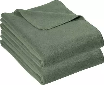 Одеяло Erwin Mller 2er-Pack 164809, 150x1x200 см, зеленый