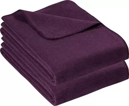 Одеяло Erwin Mller 2er-Pack 164809, 150x1x200 см цвет aubergine