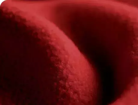 Одеяло Evila Originals, красный