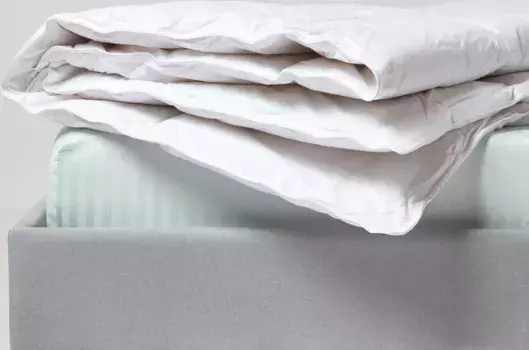 Одеяло Homescapes