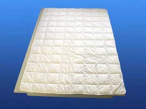 Одеяло летнее из стираного шелка Badenia размер 135х200 см Badenia irisette