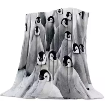 Одеяло плюшевое NoBrand