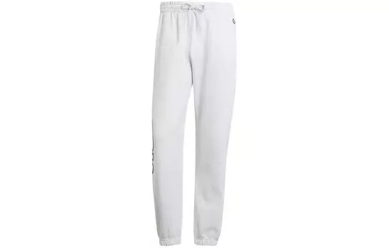 Одежда Трикотажные спортивные штаны Мужские Серые Adidas Originals, серый