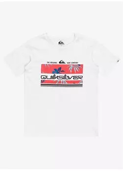 Однотонная белая мужская футболка EQBZT04725-10-TRPCAL RNBW S YOUTH Quiksilver, белый