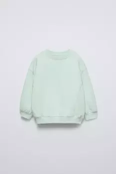 Однотонная толстовка с вышитыми деталями ZARA, светло-зеленый