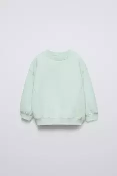 Однотонная толстовка с вышитыми деталями ZARA, светло-зеленый