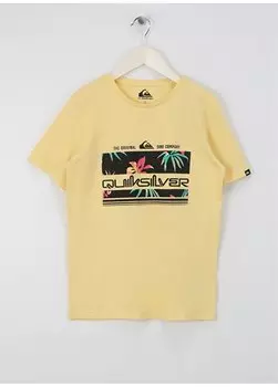 Однотонная желтая мужская футболка EQBZT04725-16884-TRPCAL RNBW S YOUT Quiksilver