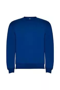 Однотонный яркий хлопковый свитшот-джемпер-свитер ROLY, синий