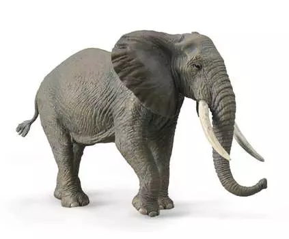 Ollecta Африканский слон Collecta