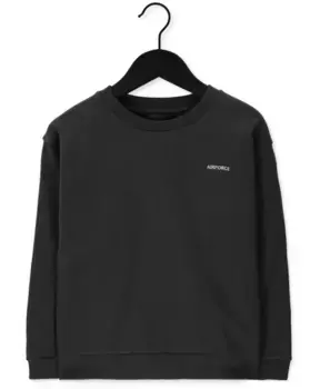 Он свитера Airforce, серый