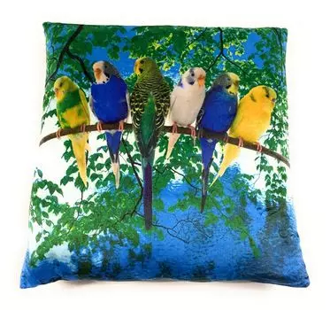 On Womania Budgie Parakeets Плюшевая подушка для дивана или кровати в качестве украшения или приятная подушка 35 x 35 см Onwomania