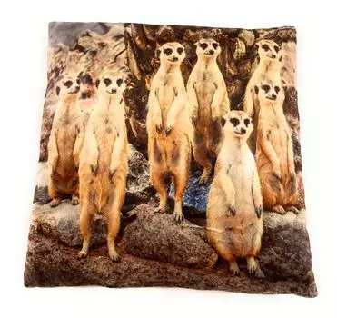 On Womania Meerkat Копытное животное Surikate Плюшевая подушка для дивана или кровати в качестве украшения или приятная подушка 35 x 35 см Onwomania