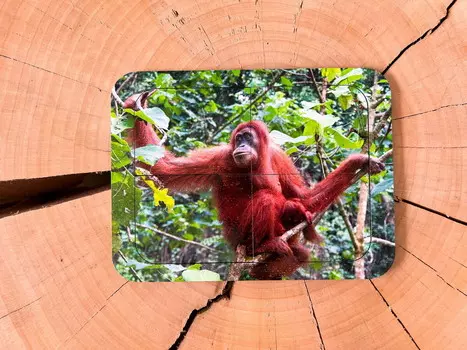 Орангутан, деревянный пазл с четырьмя элементами, основа с подписью, первый пазл Inna marka